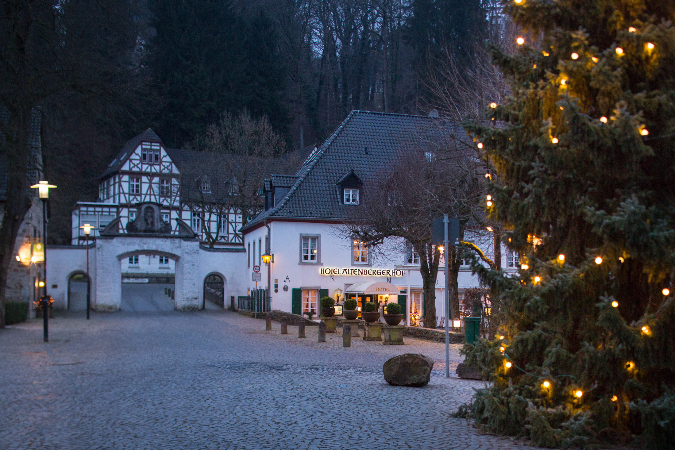 Altenbergerhof Winter 096