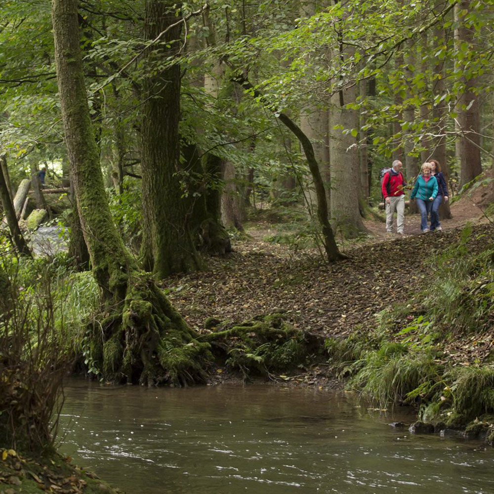 Spazierwege Foto